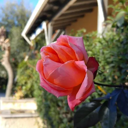 V-apartments Tsoukalaiika (Achaea)