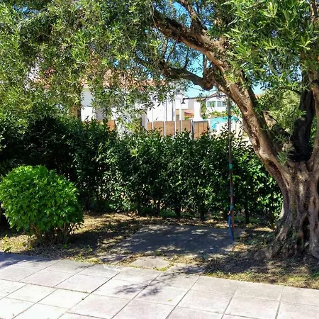 Appartement V-apartments