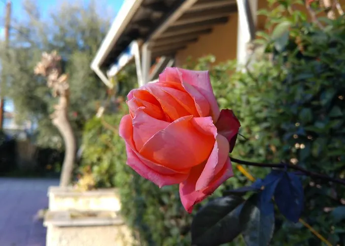 V-apartments Tsoukalaíika