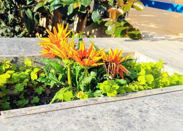 Appartement V-apartments